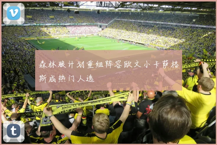 森林狼计划重组阵容欧文小卡萨格斯成热门人选