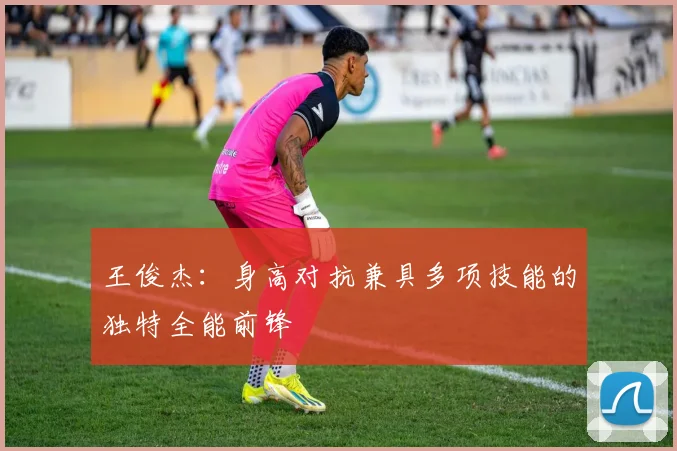 王俊杰：身高对抗兼具多项技能的独特全能前锋